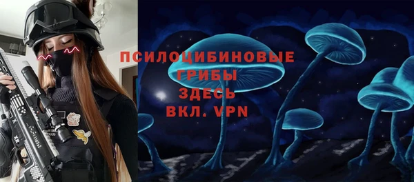 прущая мука Бронницы