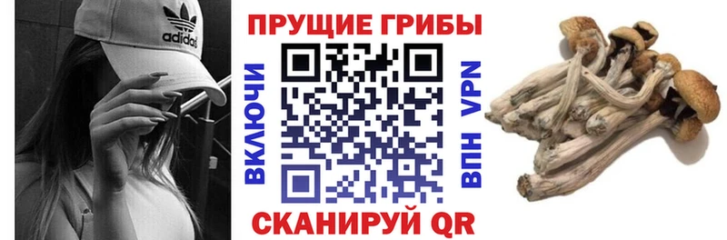 Галлюциногенные грибы мухоморы  Купить  Лебедянь 
